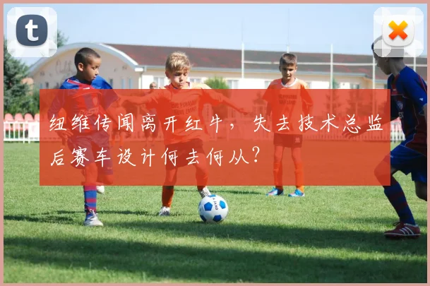 纽维传闻离开红牛,失去技术总监后赛车设计何去何从?